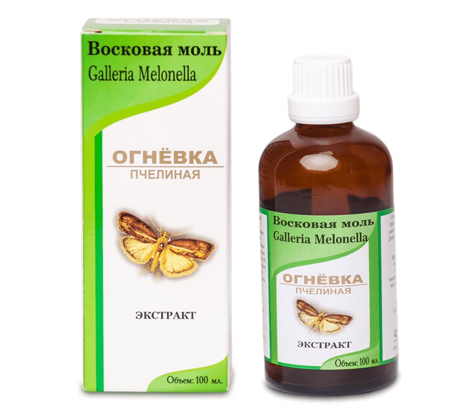 Галлерия Мелонелла