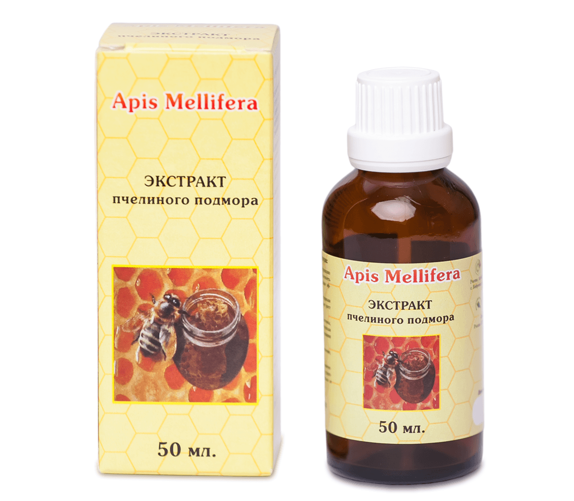 Апис Меллифера