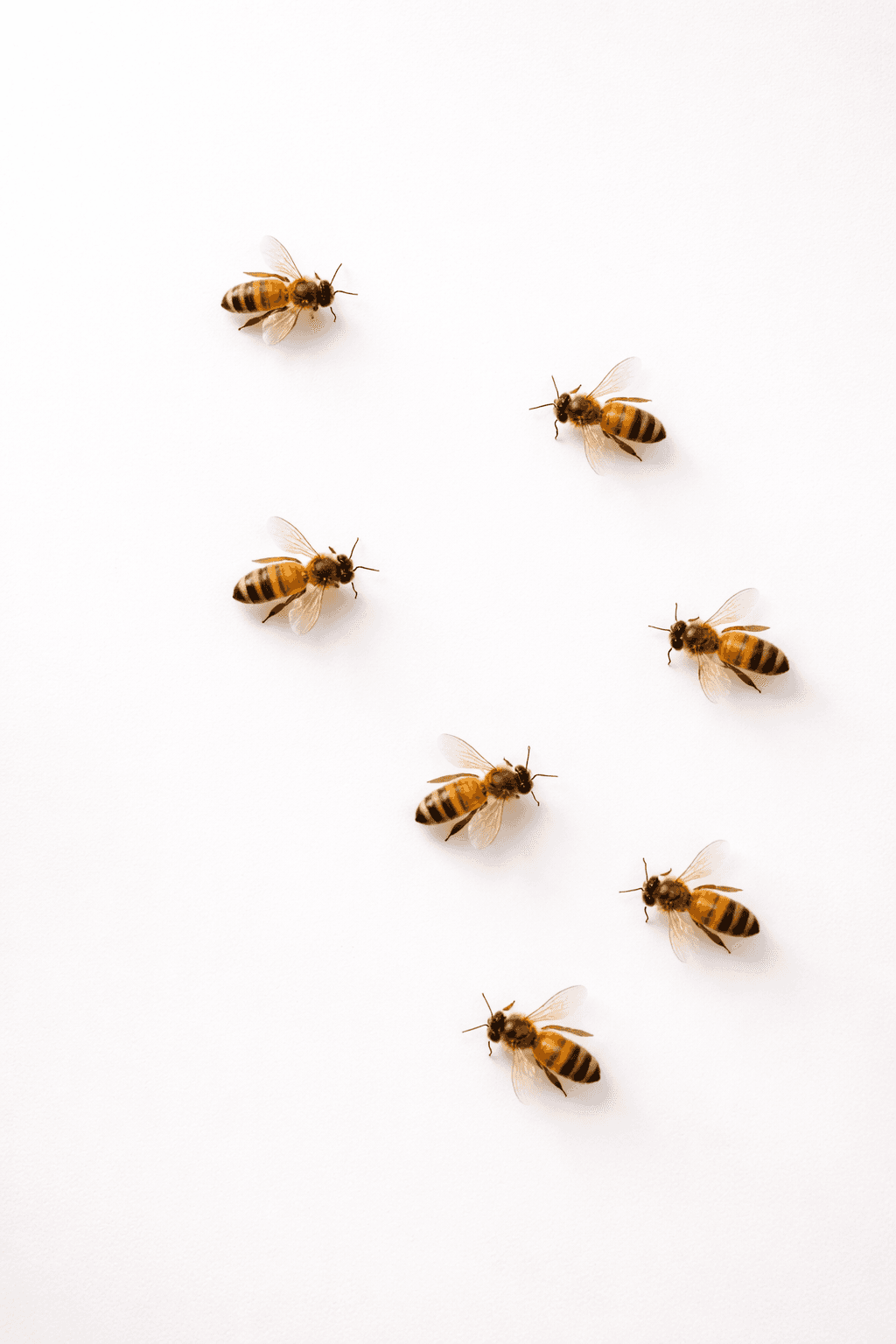 Натуральная продукция ПК ЭЛСЕРВИС